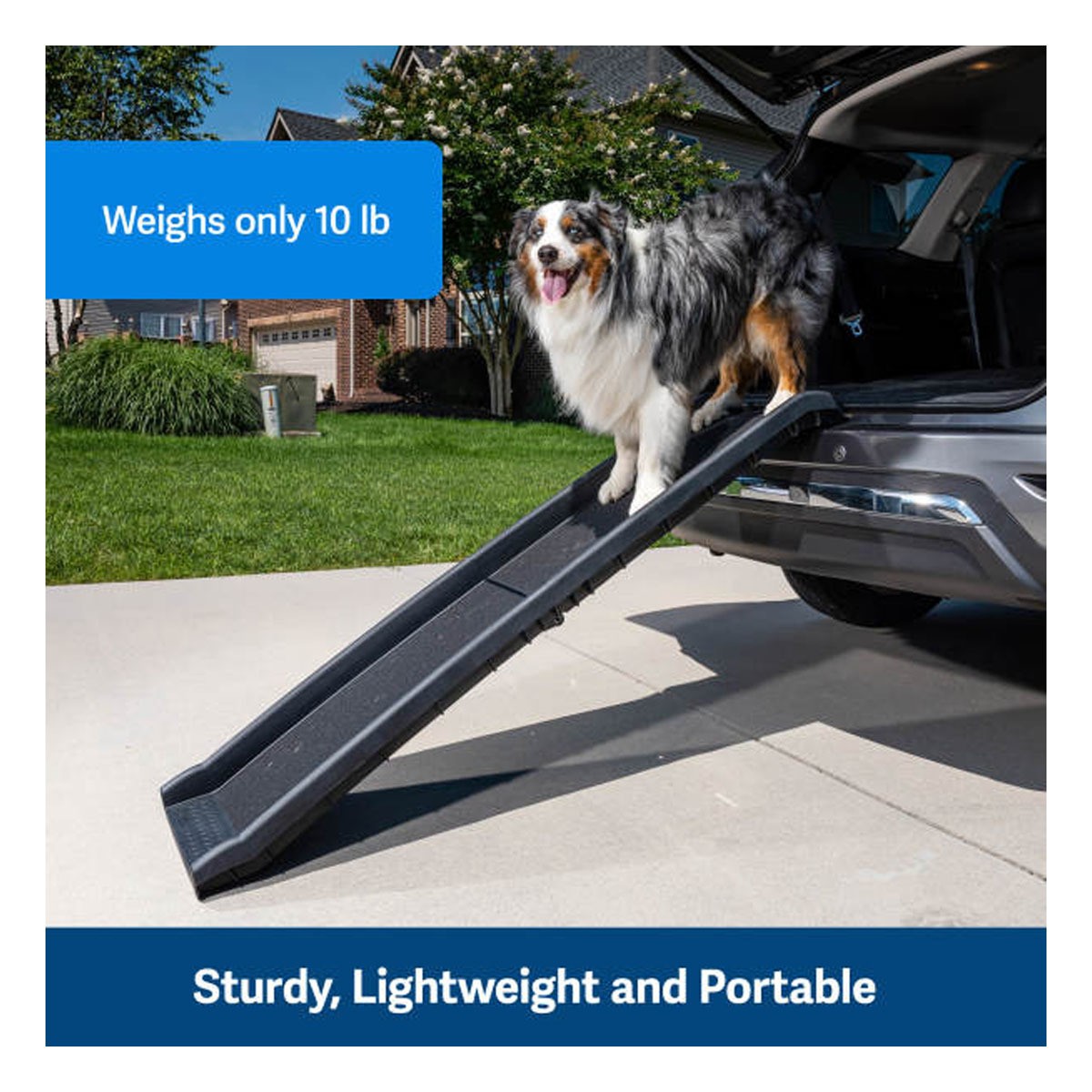 PetSafe Happy Ride Folding Dog Ramp