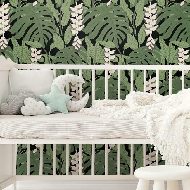 Bunaken Peel & Stick Wallpaper in Green and Black