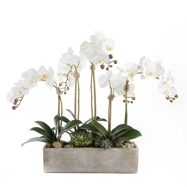 Modern Cream White Real Touch Silk Orchid Arrangement