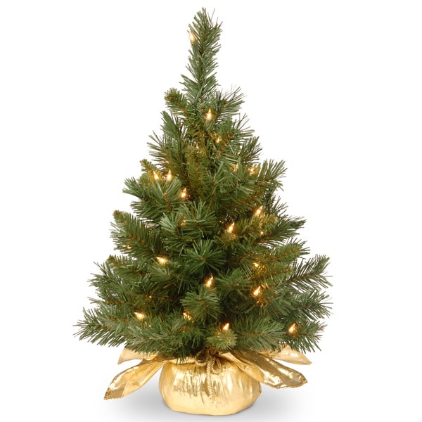 National Tree Company 2 ft.h Majestic Fir Tree in Gold Cloth Bag