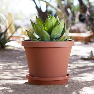 Bloem Terra 16 in. Terra Cotta Plastic Planter 50016C