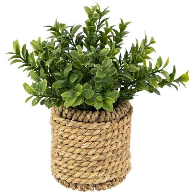 Artificial Milan Leaf Bush In Rattan Basket