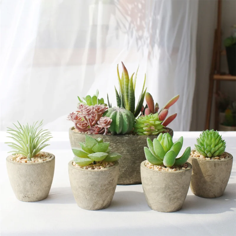 Livingroom Wholesale Succulent Plant Pot Gift for Indoor Home and Office Decoration