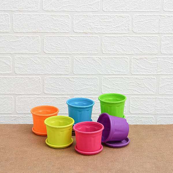 6 inch (15 cm) Grower Round Plastic Pots with Plates (Mix Color) - Pack of 6