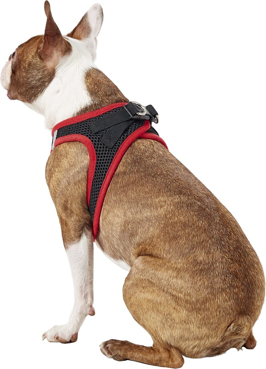 Best Pet Supplies Voyager Black Base Mesh Dog Harness