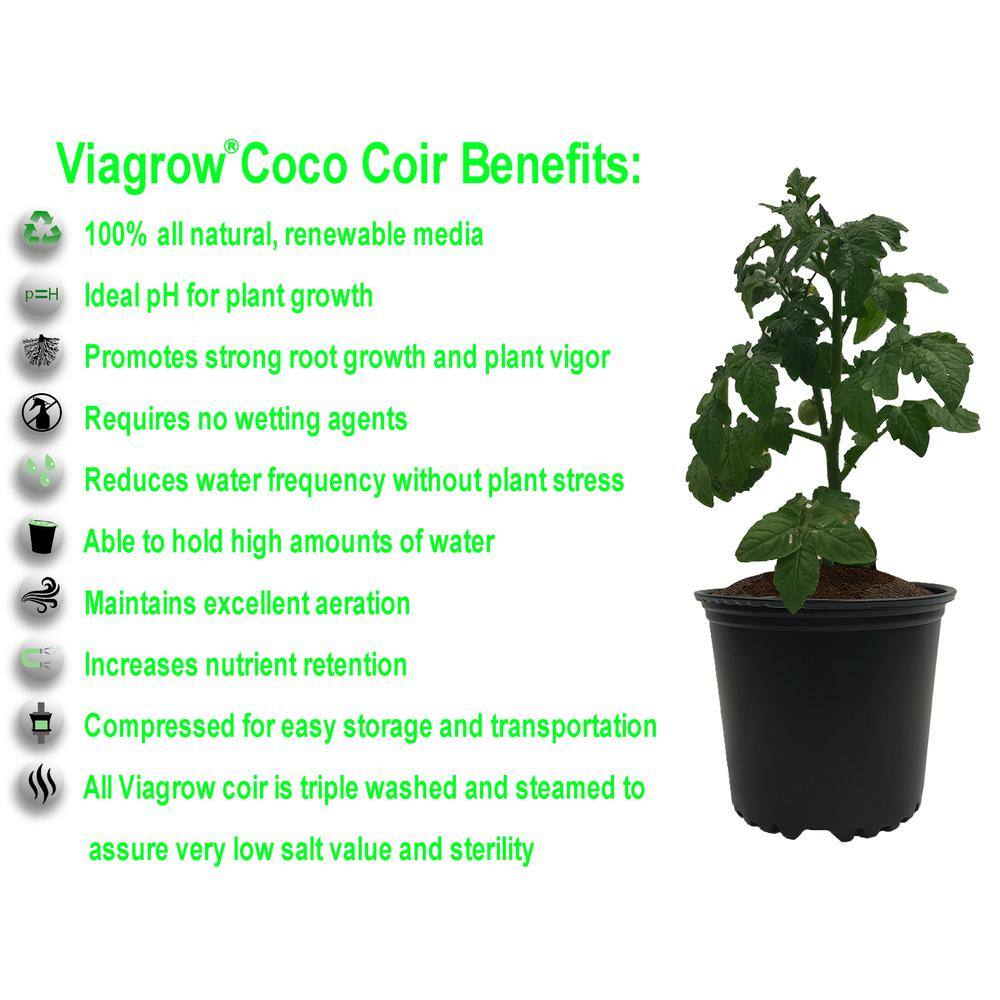 Viagrow 1.4 lbs.650g Premium Coco Coir Soilless Grow Media Coconut Coir Brick (6-Pack) VCCB650-6