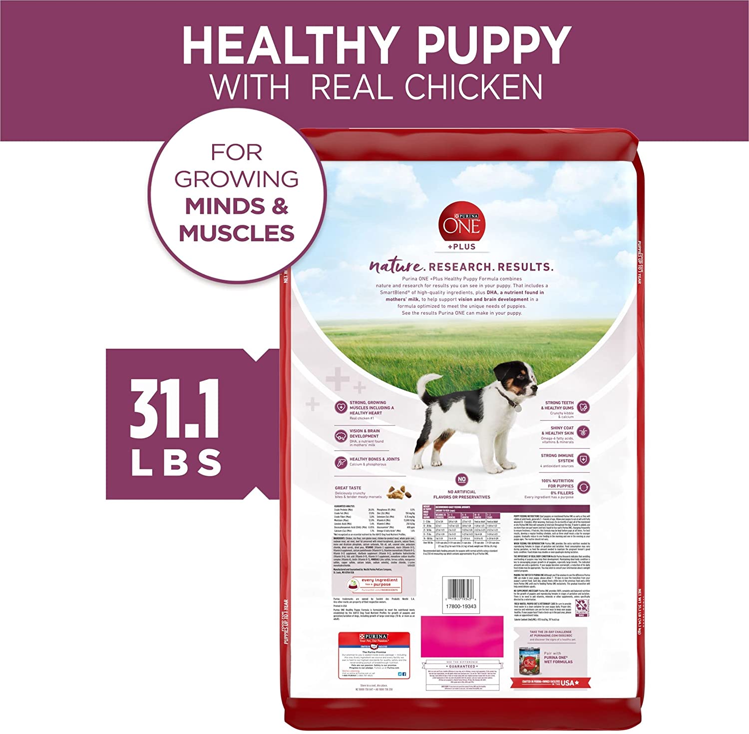 Purina ONE Natural， High Protein Dry Puppy Food， +Plus Healthy Puppy Formula - 31.1 lb. Bag