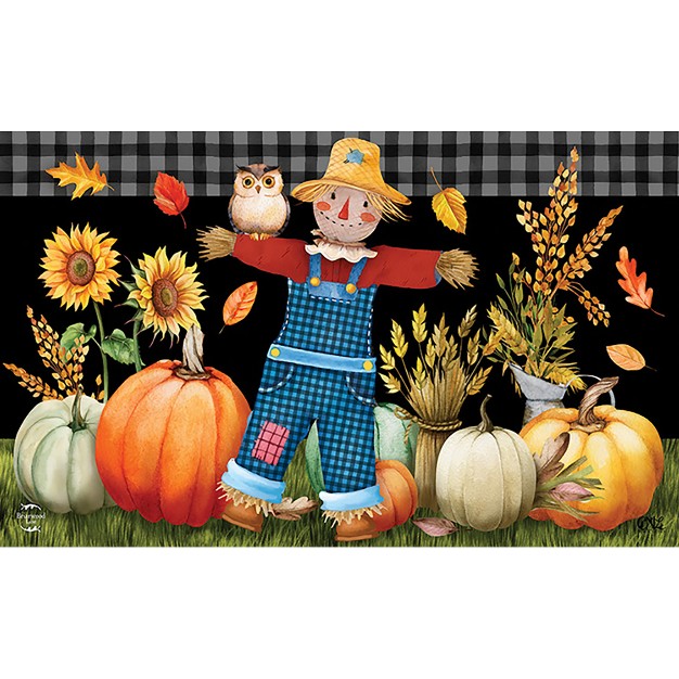 Briarwood Lane Friendly Scarecrow Autumn Doormat Pumpkins Owl Fal