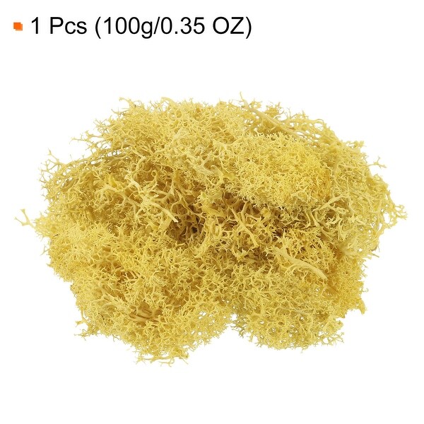 3.5OZ Moss Preserved Moss Artificial Moss for DIY Floral Project Decor