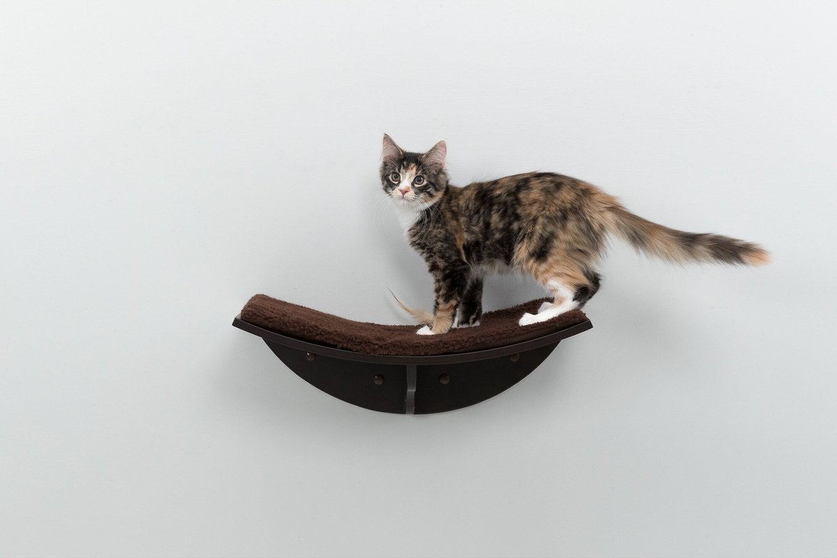 TRIXIE Lea Wall Mounted Cat Bed， X-Large