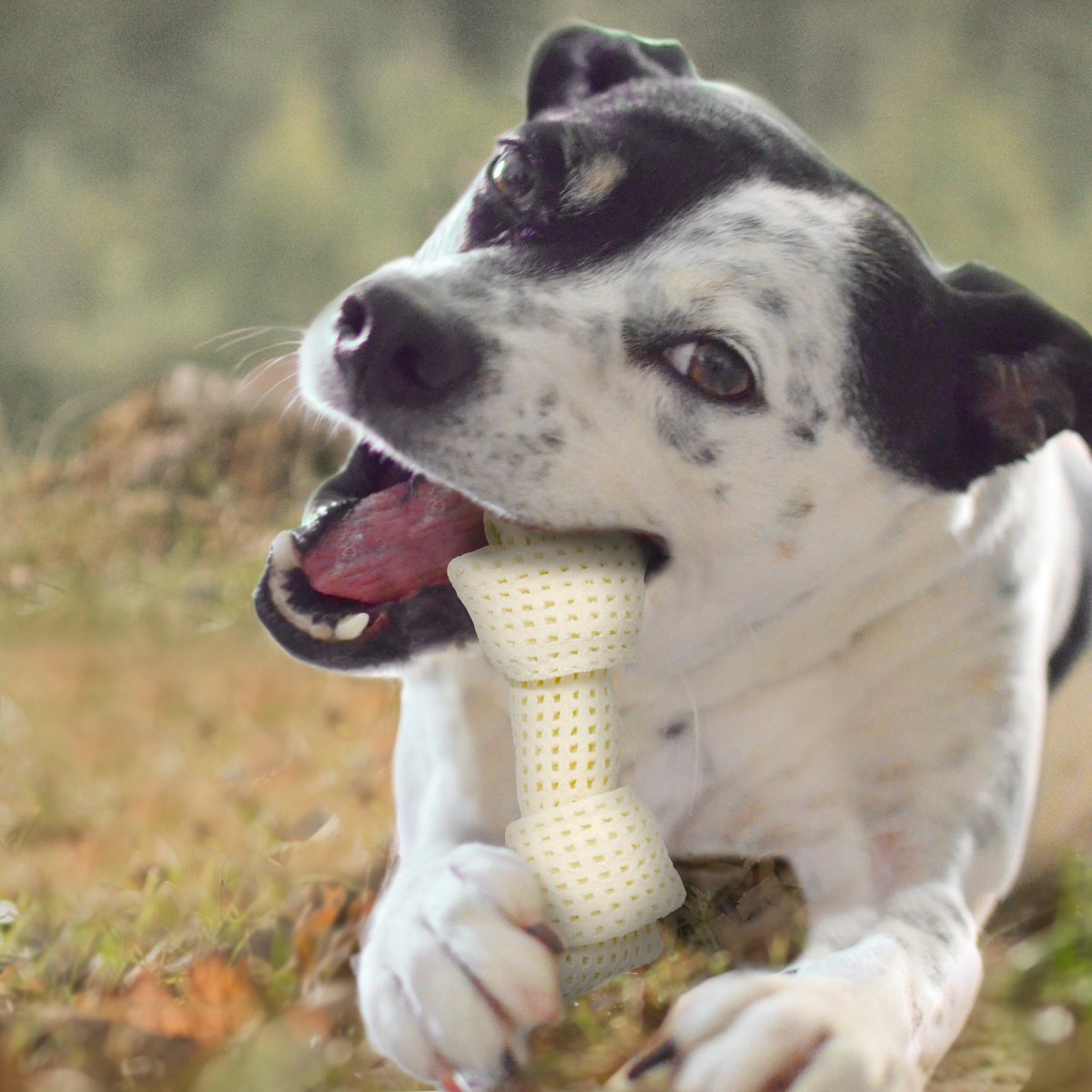 Cadet Smart Hide Easily Digestible Rawhide Knotted Bone Dog Treat