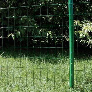 Everbilt 3 ft. x 50 ft. Fencing Welded Wire 308351B