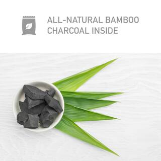 Pure Guardian Air Purifying Bamboo Charcoal Bag 17.6 oz (5-Pack) CB5005PK