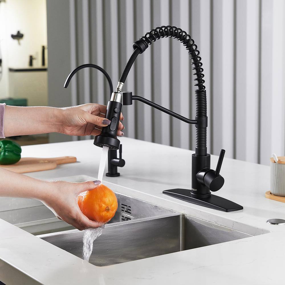 FORIOUS Pull Down Sprayer with Kitchen Faucet Single-Handle Kitchen Sink Faucet in Black HH0027B