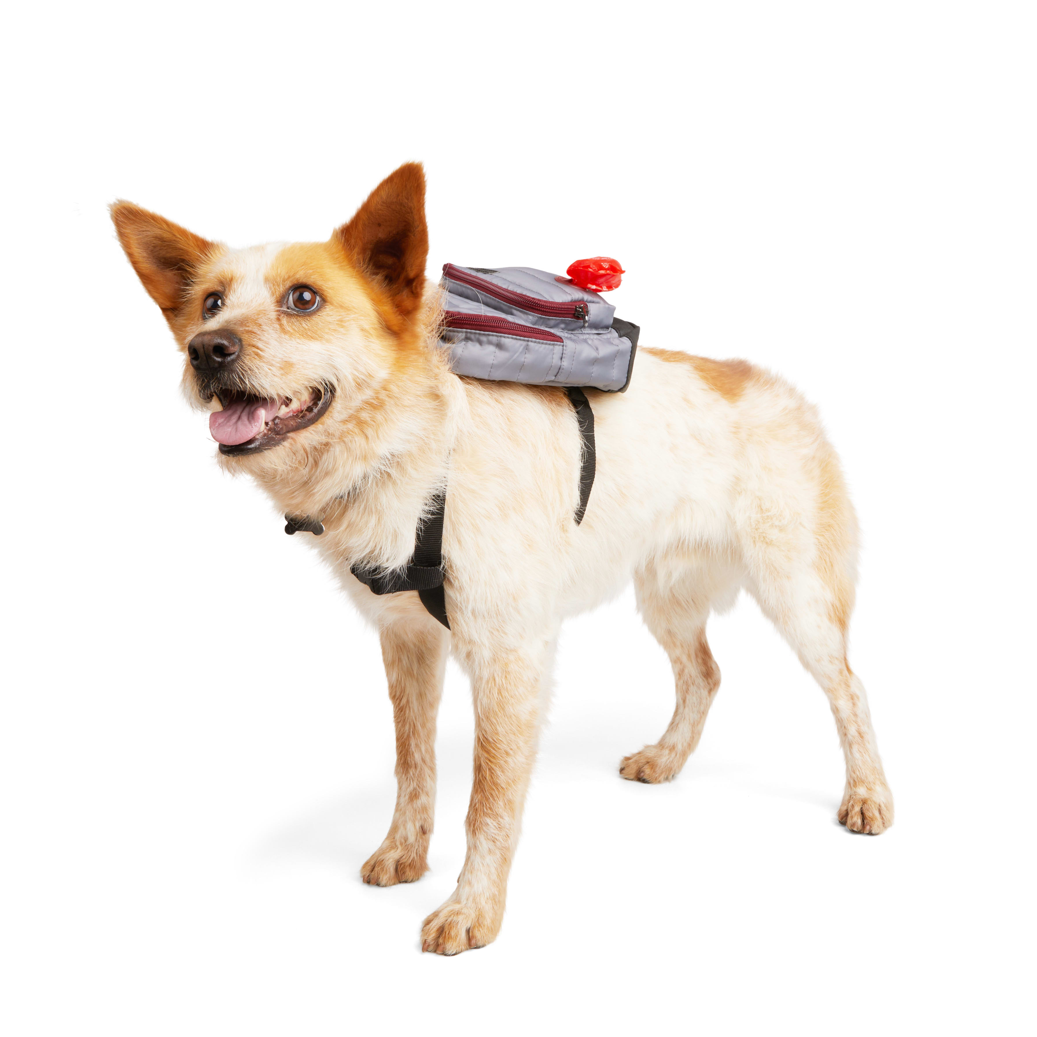 Reddy Quilted Dog Backpack， X-Small/Small