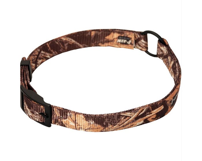 Scott Pet Center Ring Collar - 1649M414