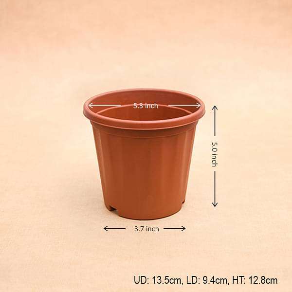 5 inch (13 cm) Grower Round Plastic Pot