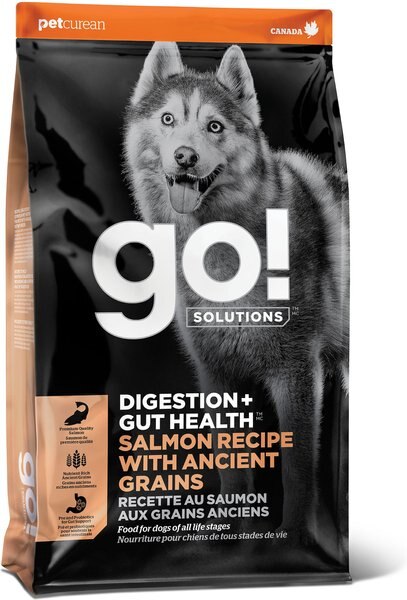 Go! Solutions Digestion + Gut Health Ancient Grains Salmon Recipe Dry Dog Food