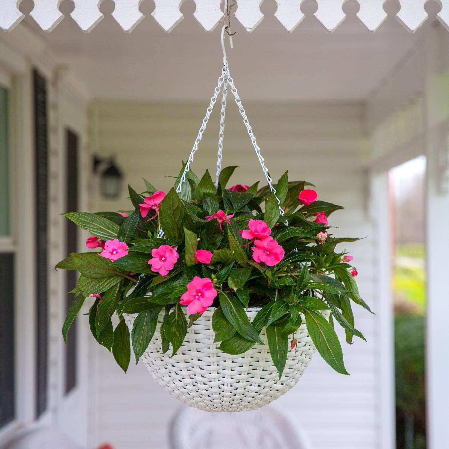 Panacea 9 in. H X 14 in. D Resin Wicker Hanging Basket White