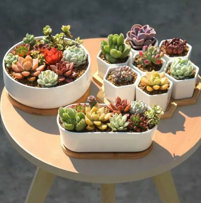 Wholesale Hot Sale Home Garden Dropshipping Geometric White Succulent Planter Pots Ceramic Plant Container with Bamboo Saucers