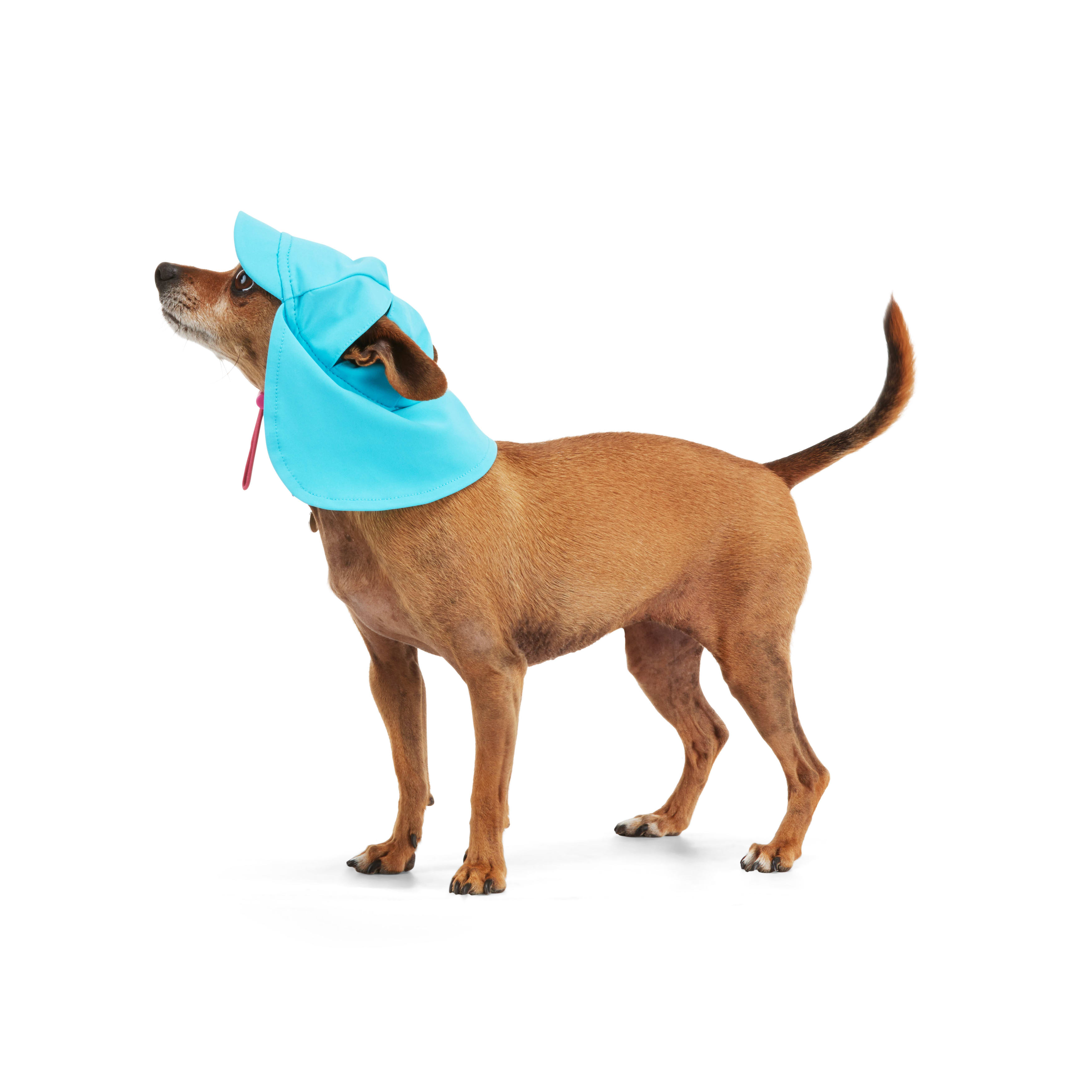 YOULY Blue Cooling Sun Visor for Dogs， X-Small/Small