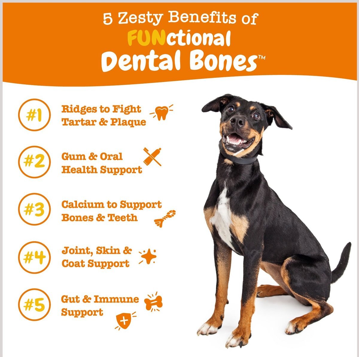 Zesty Paws All-in-One FUNctional Dental Bones Dental Chews for Medium Dogs