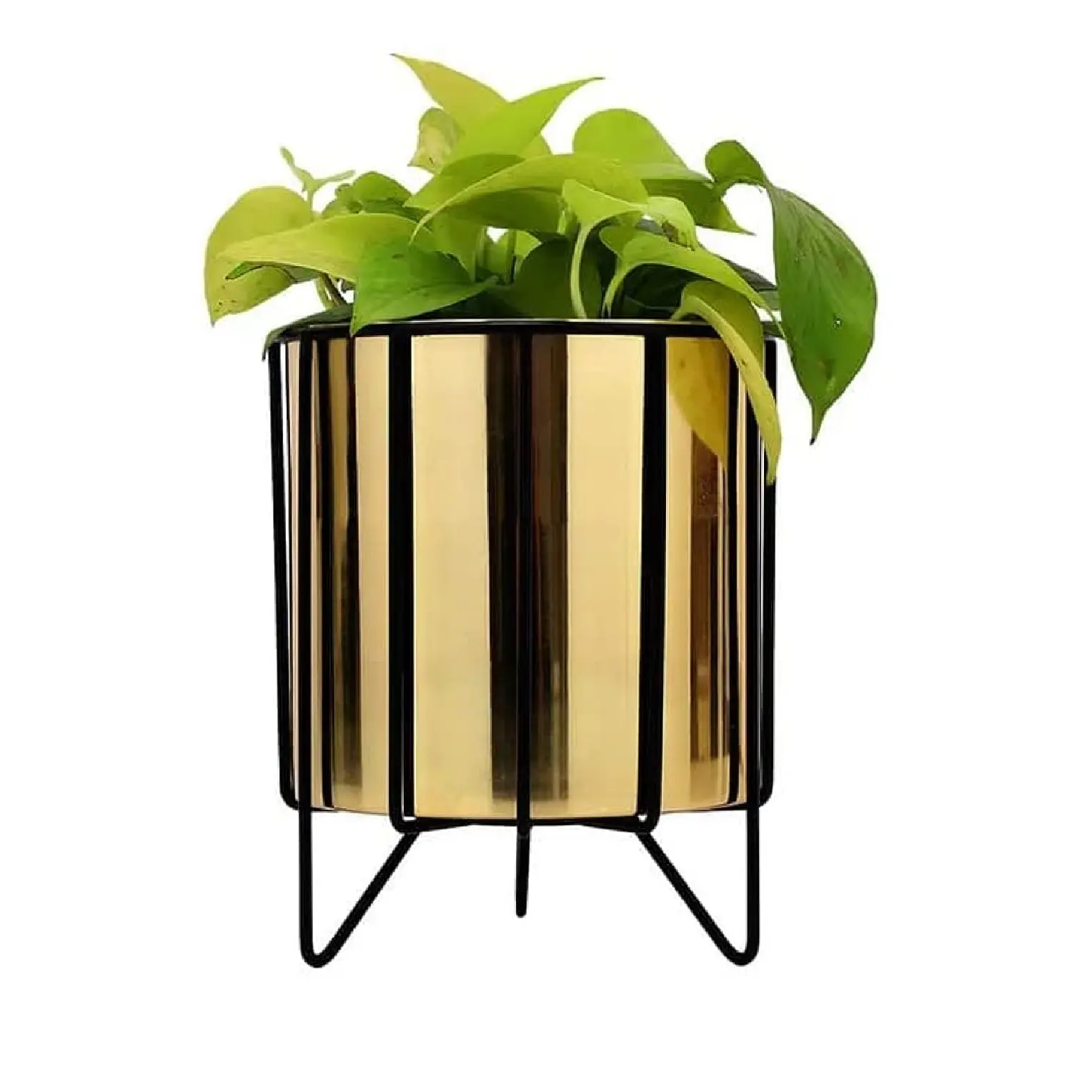 Classic   Unique Design Gold plated metal Planter for garden decoration metal pot in wholesale price customized planter plant po