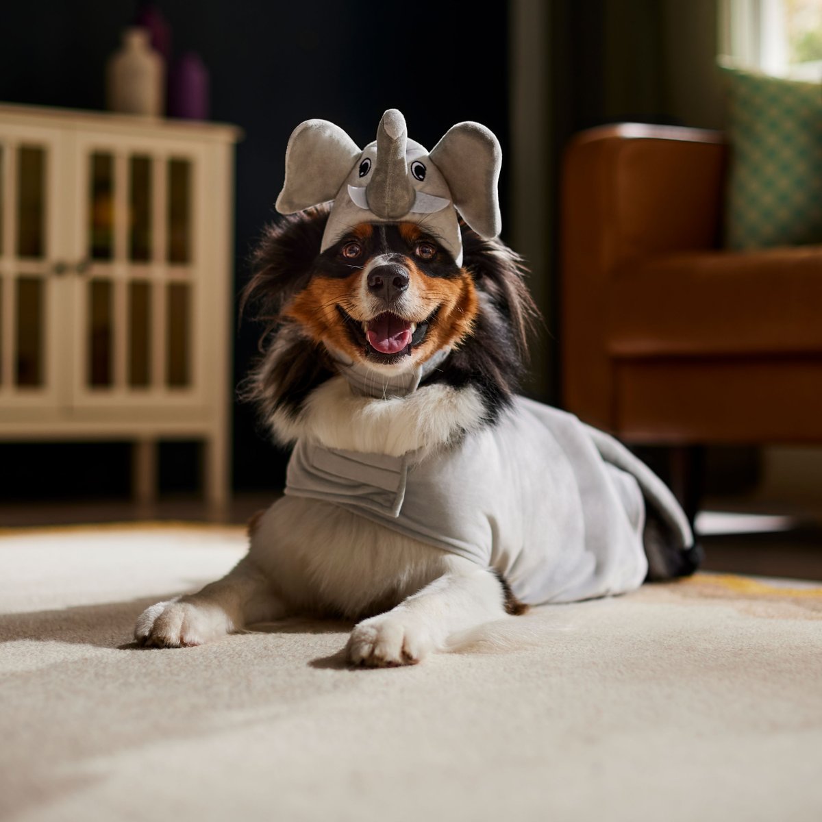 Frisco Elephant Dog and Cat Costume