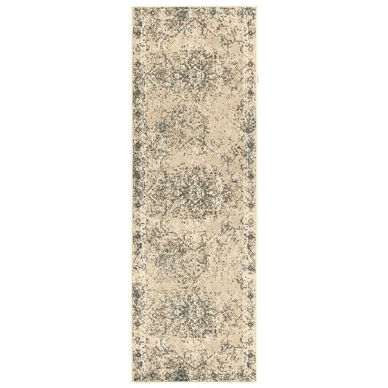 SUPERIOR Amaris Distressed Medallion Border Indoor Area Rug