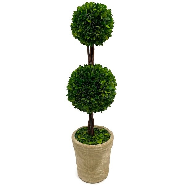 Modern Home Real Preserved Boxwood Double Ball Topiary