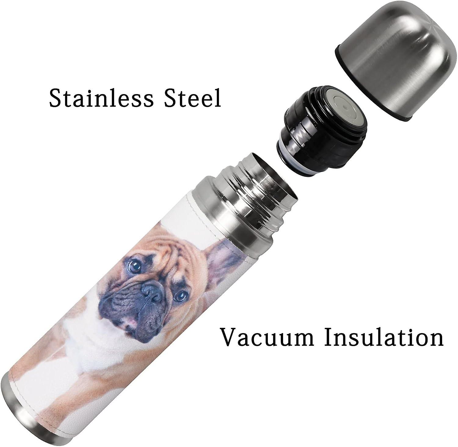 Insulated Mug Stainless Steel Water Bottle Beautiful French Bulldog Isolated On White Vacuum Cup Travel Mug