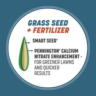 Pennington Smart Seed 3 lbs. Ohio State Grass Seed and Fertilizer 100543709