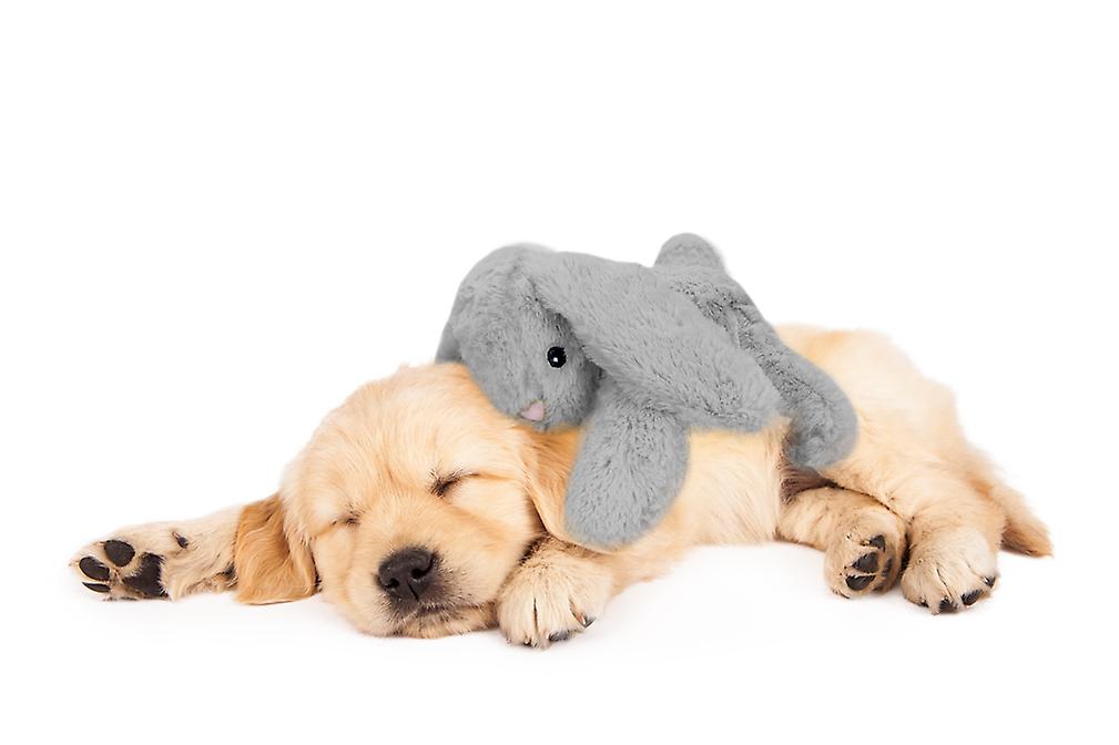 Cozy Dog Bunny Grey