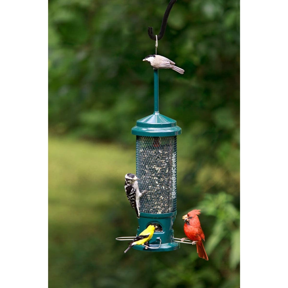 Squirrel Buster Legacy Squirrel-proof Bird Feeder w/4 Metal Perches， 2.6-pound Seed Capacity