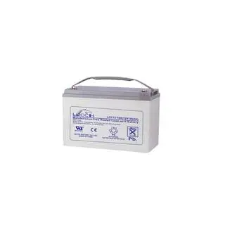 LEOCH (12-Volt 100 Ah) Non Spillable SLA Battery for Ryobi Riding Lawn Mower LPC12-100T11