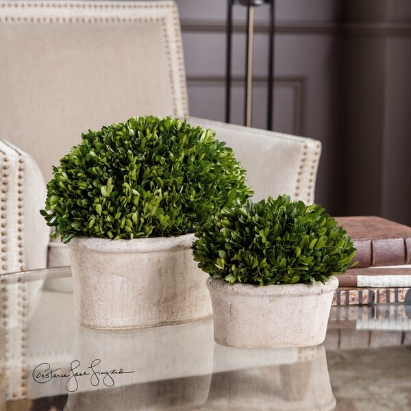 Uttermost Preserved Boxwood with Oval Dome (Set of 2)