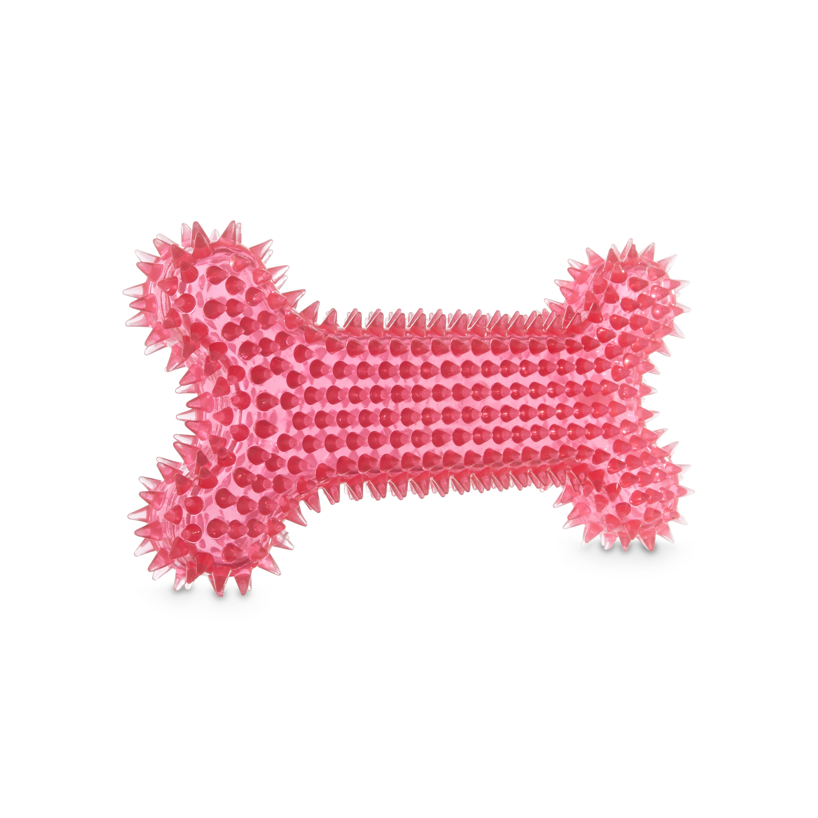 Leaps  Bounds Spiny Bone Dog Chew Toy in Various Styles， Medium