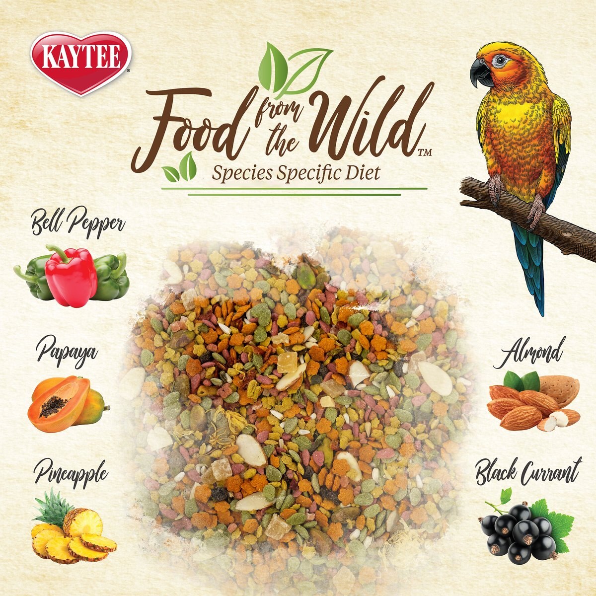 Kaytee Food from the Wild Conure Bird Food， 2.5-lb bag