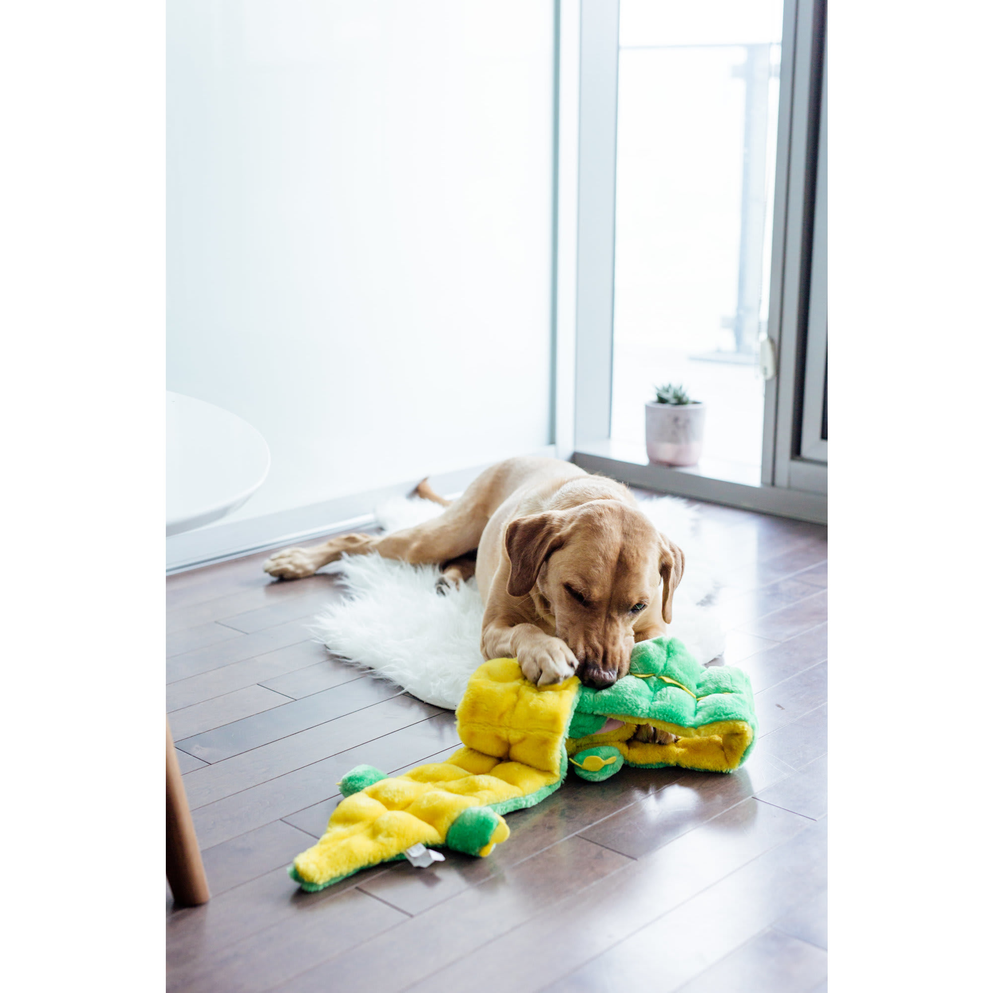 Outward Hound Mega Squeaks Long Body Gator Plush Dog Toy， 3XX-Large