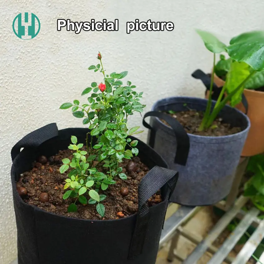 Hyh Fabric Grow Bags Custom Tomato Black Grow Bags As Garden Pots   Planters