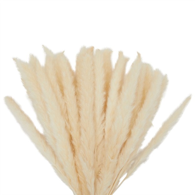 Juvale 30 Pack Dried White Pampas Grass For Vase Wedding Rustic style Farmhouse Decor Boho themed Home Decor 17 In