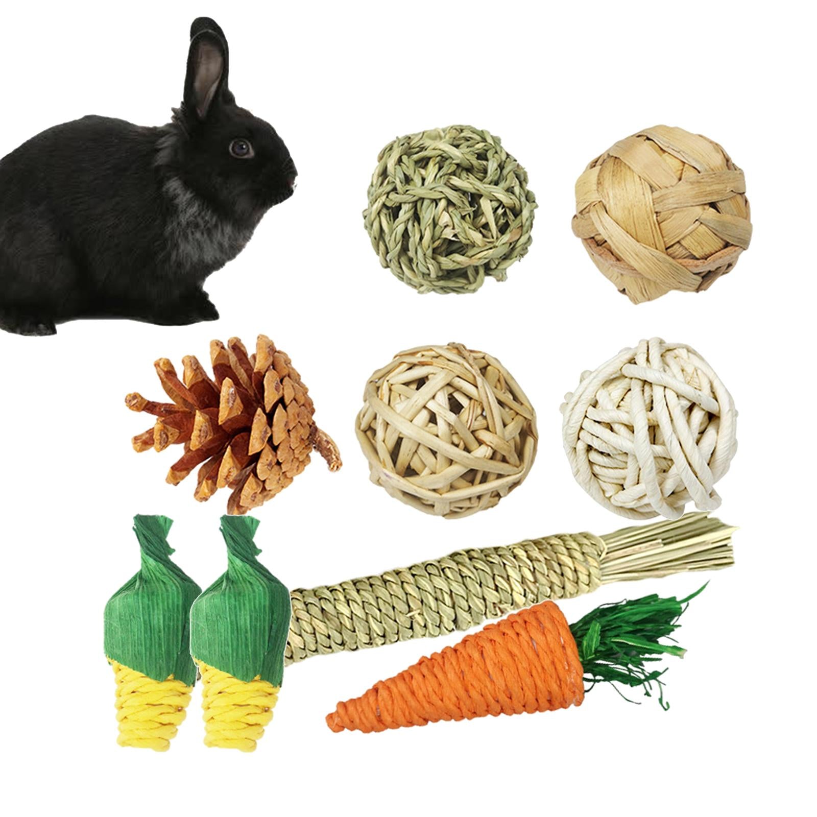 9PCS Guinea Toys， Hamster Chew Toys Rats Chinchillas Toys Accessories Safe Material Exercise Care Molar Toy for Bunny Rabbits Gerbils