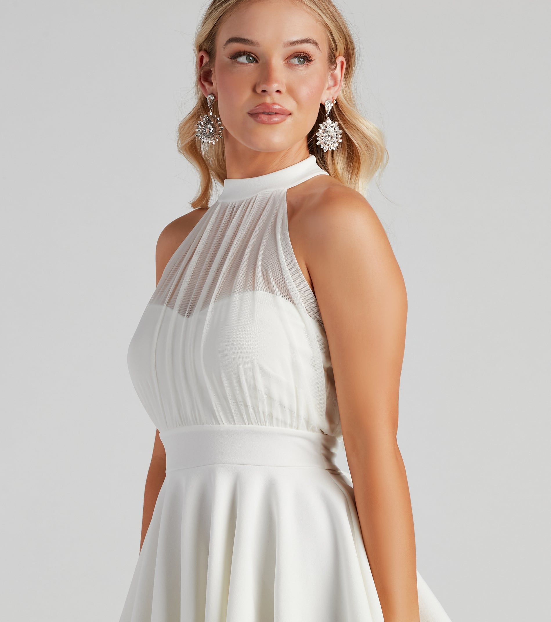 Sheer Appeal Sleeveless Skater Dress