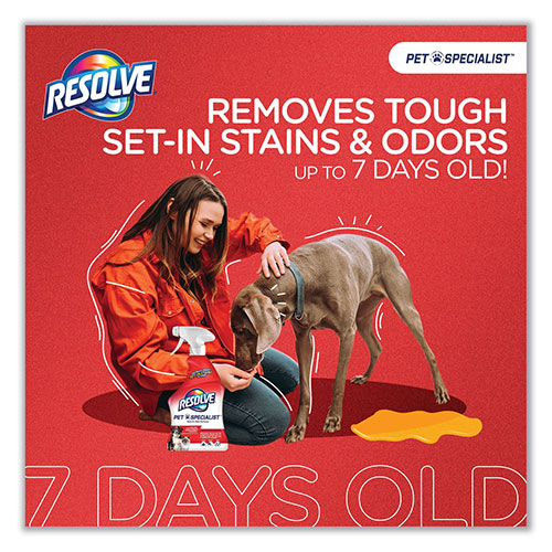 Reckitt Benckiser Resolve Pet Specialist Stain and Odor Remover | Citrus， 32 oz Trigger Spray Bottle， 12