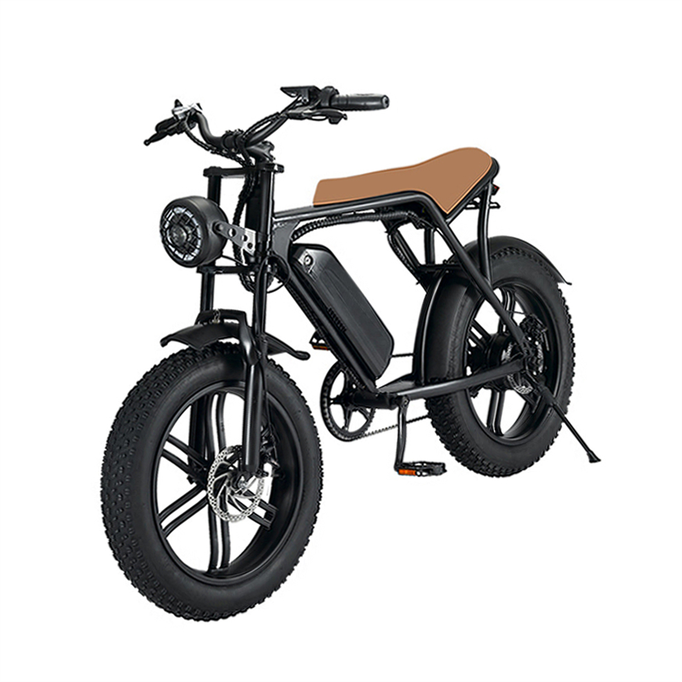 Custom Cargo Electric Bicycle 48v 750w Electric Cycle Cargo Fat E Bike Best Cargo Bikes Electric