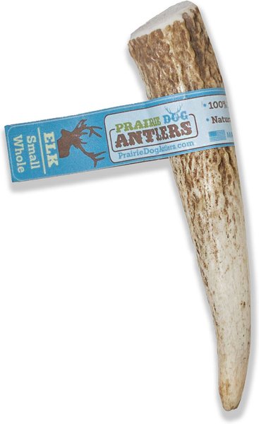 Prairie Dog Whole Elk Antler Dog Chews， 4 - 5.5 inch