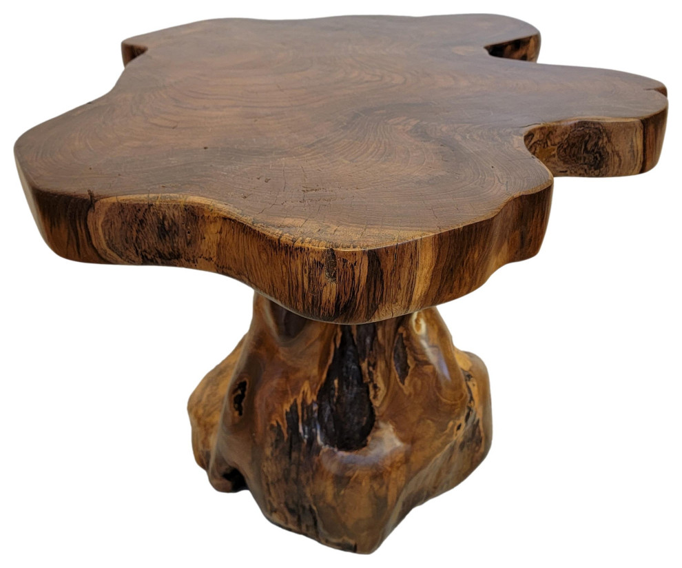 Live Edge Large Wood Accent Table 25 in Free Form Teak Root Natural Tree Trunk   Rustic   Side Tables And End Tables   by My Swanky Home  Houzz