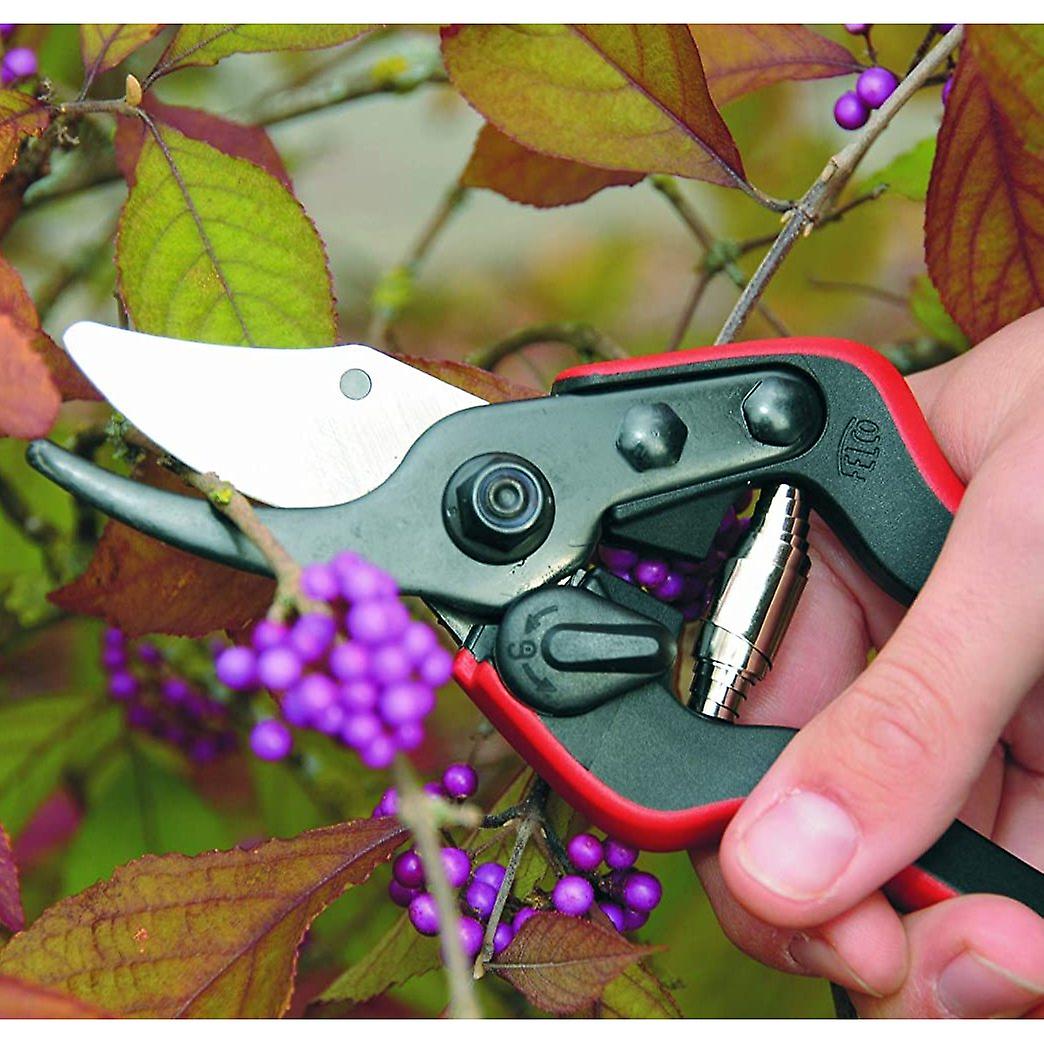 Felco Secateurs Essential 160S - Model 160 for Small hands - Genuine Felco