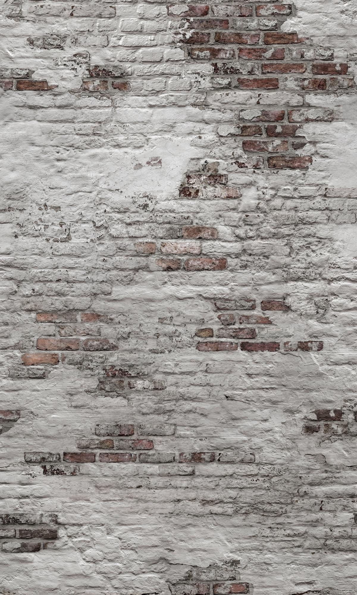 Natural Brick Wall Mural in Grey