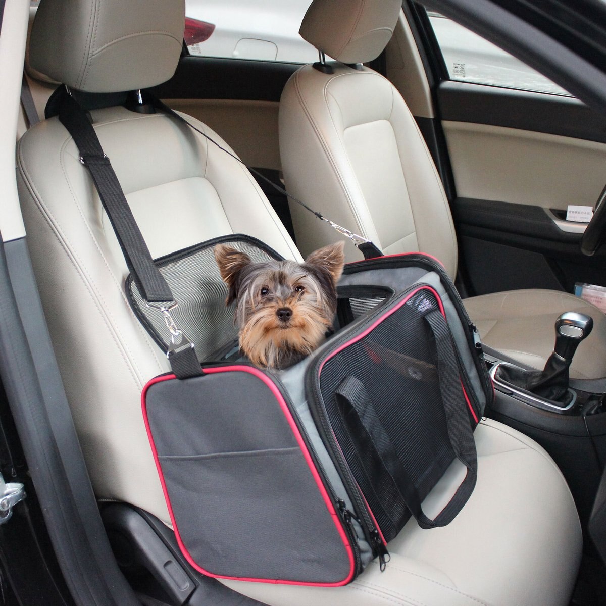 Jespet Soft-Sided Airline-Approved Travel Dog and Cat Carrier